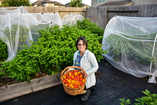 Clase de Siembra de Ají Dulce. ENERO 2026